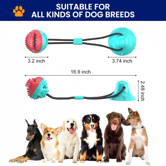 Rubber Suction Cup Dog Toy