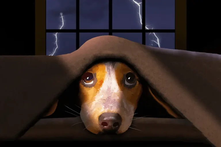bigstock-A-Cute-Little-Beagle-Dog-Hides-372628669_embiggened-cropped-1024x682 (1)