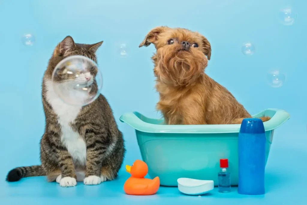 Healthy Paws, Happy Pet Grooming Essentials for Your Pets