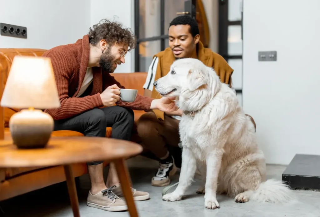 Pet Custody What to Do When Pet Owners Break Up