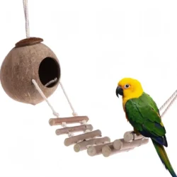 Hanging Coconut Bird's Nest Toy
