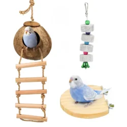 Natural Coconut Bird Toy for Small Birds