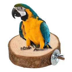 Wooden Bird Perch Stand Toy