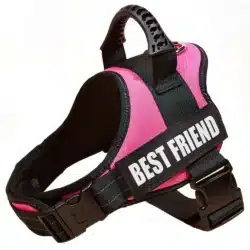 Dog Harness With Handle