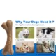 1-33.webp