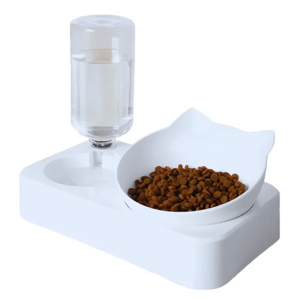 Pet Food Bowl with Automatic Water Dispenser