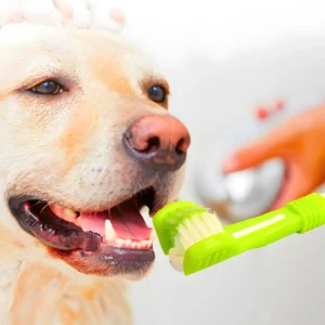 Pets Three-Head Multi-angle Toothbrush