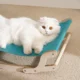 253.webp