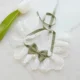 3-58.webp