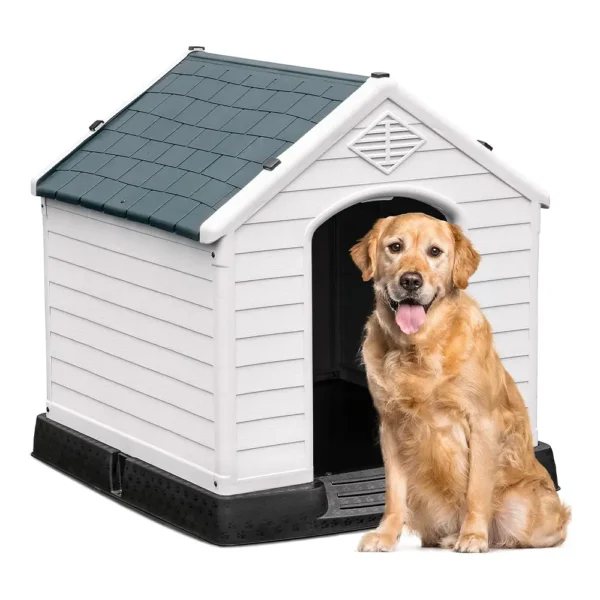 Large Dog House Indoor And Outdoor