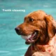 4-2024-05-02T163652.641.webp