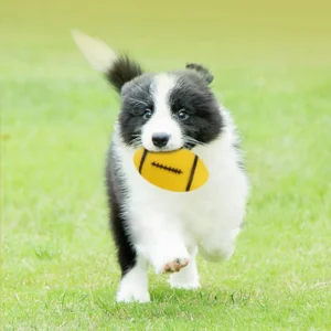 Dog Playing Training Chew Sound Toy