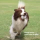 5-2024-05-02T163655.049.webp