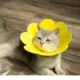 5-38.webp