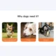 6-64.webp