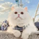 7-26.webp
