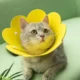 7-31.webp