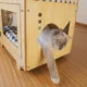 7-48.webp