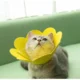 8-24.webp