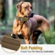 Adjustable-Dog-Collar-Info-4.webp