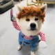 Adjustable-For-Christmas-Funny-Dog-Clothes-11.webp