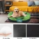 Best-Features-of-Round-Pet-Bed-Washable.webp