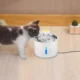 Cat-Drinking-Water-in-Pet-Drinking-Fountain-Bowl.webp