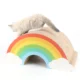 Cat-Rainbow-Scratcher-2.webp