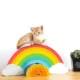 Cat-Rainbow-Scratcher-5.webp