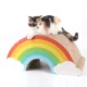 Cat-Rainbow-Scratcher.webp