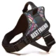 Dog-Harness-With-Handle-16.webp