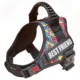 Dog-Harness-With-Handle-19.webp