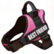 Dog-Harness-With-Handle-22.webp