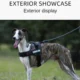 Dog-Harness-With-Handle-5.webp