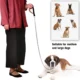 Dog-Leash-Chain-for-Outdoor-Training-5.webp