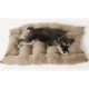 Dog-Relaxing-on-Square-Cushion-Pet-Sofa-Bed.webp