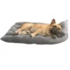 Dog-Sleeping-on-Square-Cushion-Pet-Sofa-Bed.webp