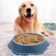 Food-in-Pet-Anti-Choke-Slow-Food-Bone-Bowl.webp