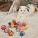 Kitten-Interactive-Ball-Toy-6.png