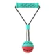 Molar-Bite-Dog-Toy-1.webp