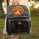 Pet-Carrier-Backpack-Bike-Basket-18.webp