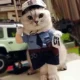 Pet-Police-Uniform-Funny-Clothe-4.webp