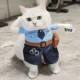 Pet-Police-Uniform-Funny-Clothe-6.webp
