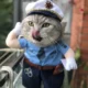 Pet-Police-Uniform-Funny-Clothe.webp