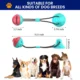 Rubber-Suction-Cup-Dog-Toy.webp