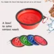 Solve-Your-Various-Needs-with-Compact-Foldable-Slow-Feeder-Pet-Bowl.webp