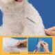 Stainless-Steel-Pet-Hair-Grooming-Comb-4.webp