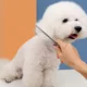 Stainless-Steel-Pet-Hair-Grooming-Comb-9.webp