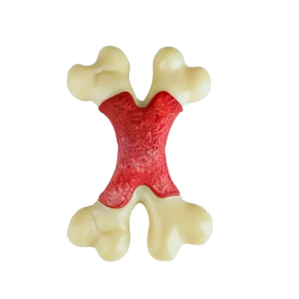 Rubber Toy for Large Dog