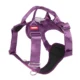 Water-Proof-Pet-LED-Harness-13.webp